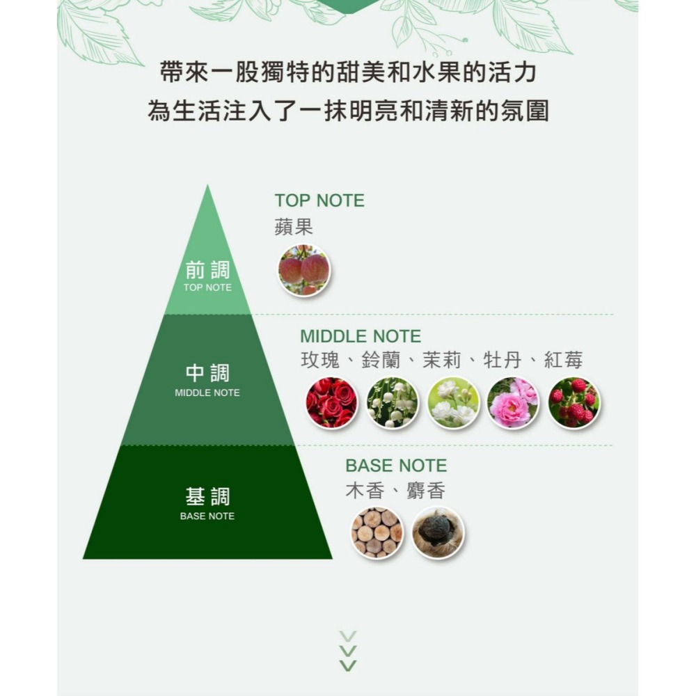 舒妃自然匯InNature 薑萃髮麗霜(新款)黑棕100ml*1【贈】SOFEI舒妃 7玻水潤護髮霜800ml*1-細節圖7