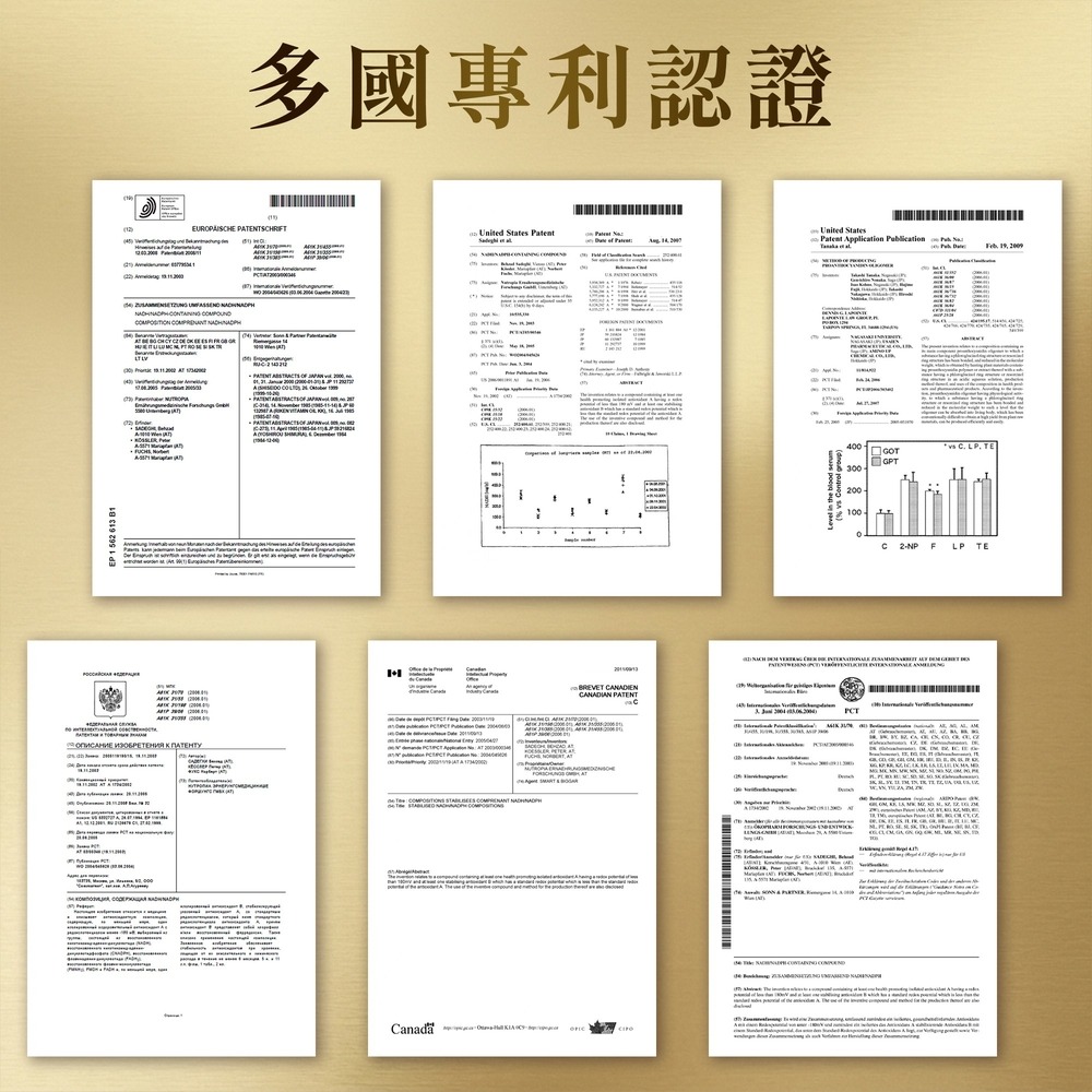 Wedar薇達 解醣錠EX 0.5gx30顆*1【贈】sunVenus 青春速孅咖啡 2gx10包*1-細節圖5