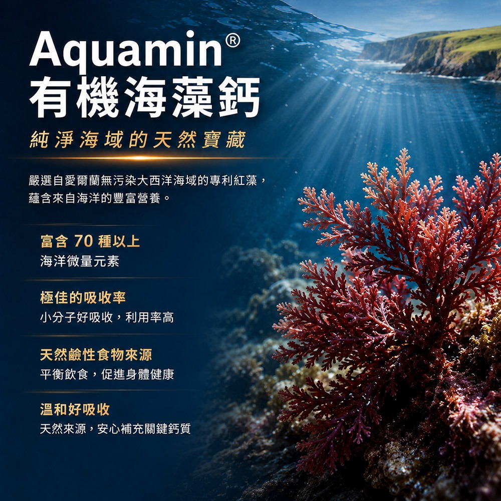 固樂優 全效敏捷靈活膠囊EX 600mgx30粒*1【贈】sunVenus 關力舒10ml*1-細節圖7
