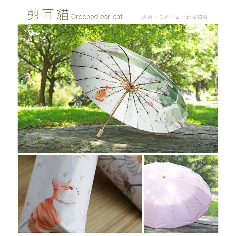 日本Hirone 彩膠晴雨傘兩入組(剪耳貓+黃雛菊)*1【贈】Mr.Pro羅布先生 香豆X洗衣凝膠球*4包(香味任選)-細節圖5