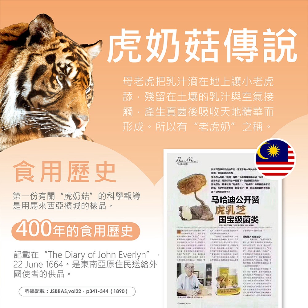 tigrox 虎奶菇養氣飲 20mlx12包*1【贈】東華堂 神奇黑種草油700mgx30顆*2-細節圖7