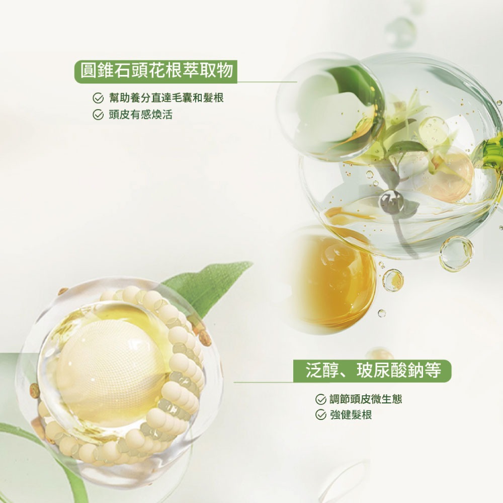 樂絲歐 頭皮養護洗髮露 200ml*1【贈】SOFEI舒妃 7玻水潤護髮霜800ml*1-細節圖3
