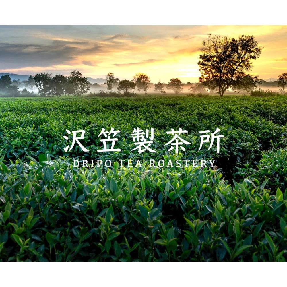 Dripo沢笠製茶所 茶包6gx12入*1 (任選)【贈】不二家 Peko牛奶糖 72g*1 效期2026.12.17-細節圖2