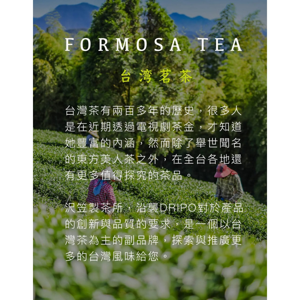 Dripo沢笠製茶所 茶包6gx12入*1 (任選)【贈】不二家 Peko牛奶糖 72g*1 效期2026.12.17-細節圖3