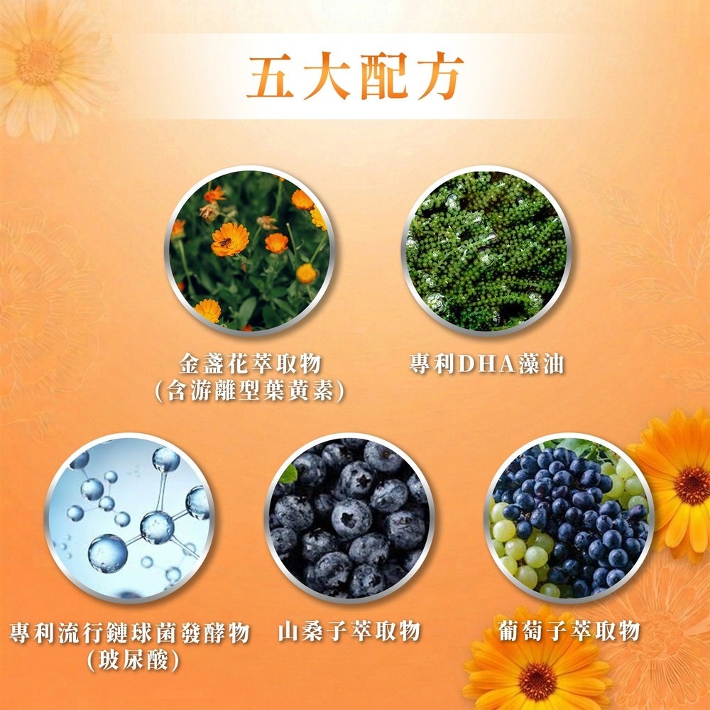 sunVenus 金盞花葉黃素晶凍EX*2【贈】沛存 高濃度魚油DHA70%(rTG型態魚油) 500mgx60顆*1-細節圖3