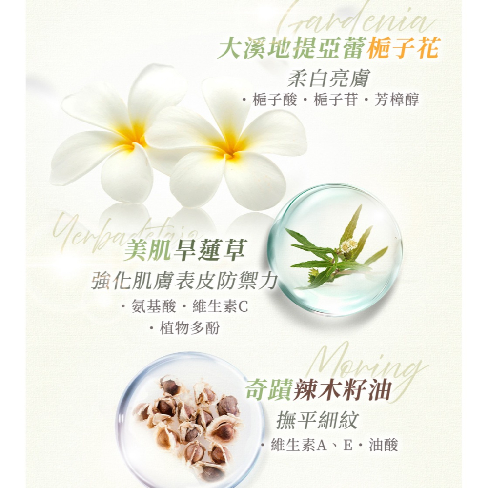 法國芭朵 梔子花純浸嫩白精華油 100ml*1【贈】LA·VAOLORE 超導全能膠原新生凍膜 30mlx5片*1-細節圖3