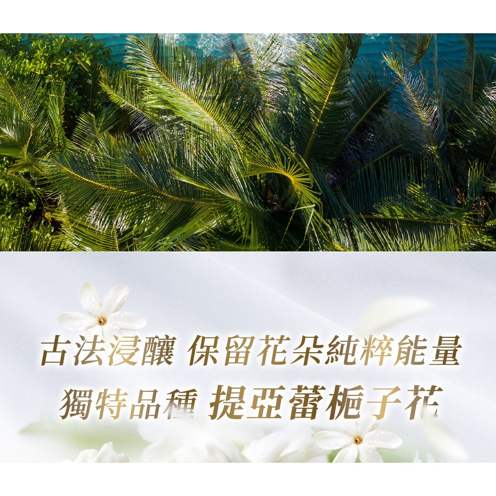 法國芭朵 梔子花純浸嫩白精華油 100ml*1【贈】LA·VAOLORE 超導全能膠原新生凍膜 30mlx5片*1-細節圖7