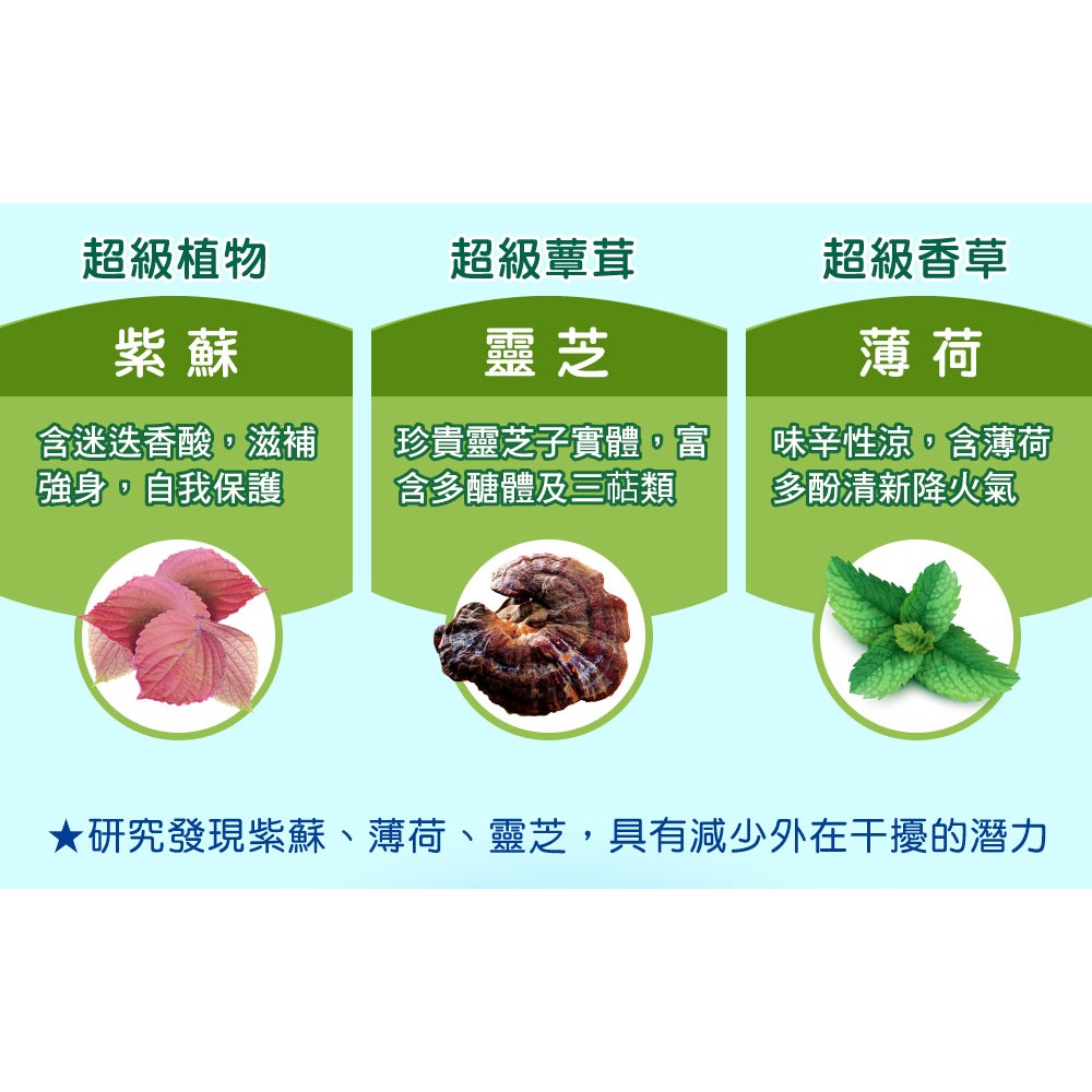 順天本草 超級綠清3.01.5gx15入效期27.6.17【贈】德國numis med樂美思 pH5.5超溫和洗髮乳*1-細節圖2