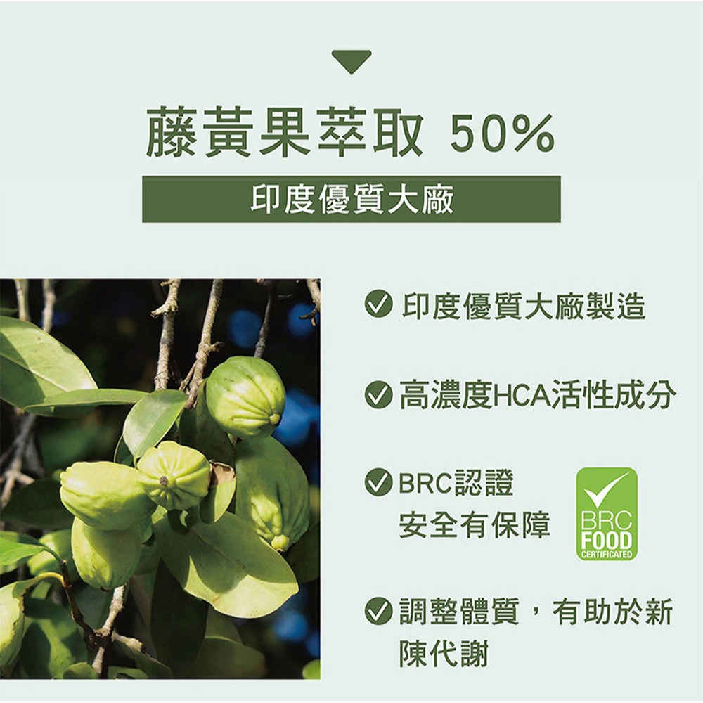 三五生技 孅孅茶3.5gx7包*1【贈】MIDAS 6in1植萃酵素洗衣球 40顆/包*2-細節圖4