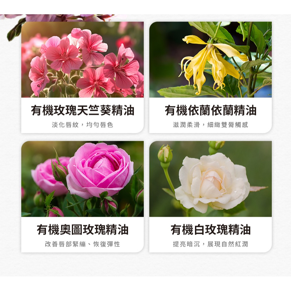 Bonnie House感溫潤色花植精萃唇膏1g*1【贈】我的心機 NEO CLEAR法國綠礦泥毛孔速淨泥膜棒45g*1-細節圖5