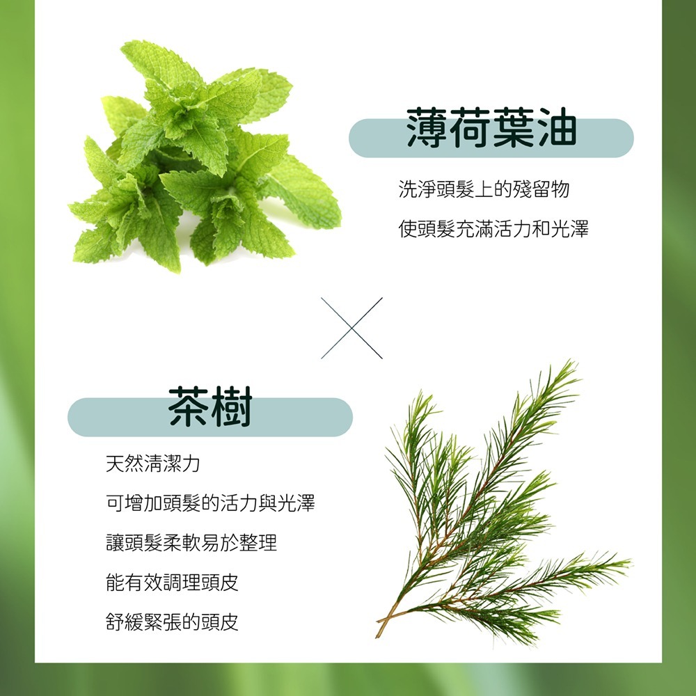 日本髮の泉 毛髮賦活濃粹精華60ml*1【贈】髮本源 極致豐盈建髮洗髮素 320ml*1-細節圖6