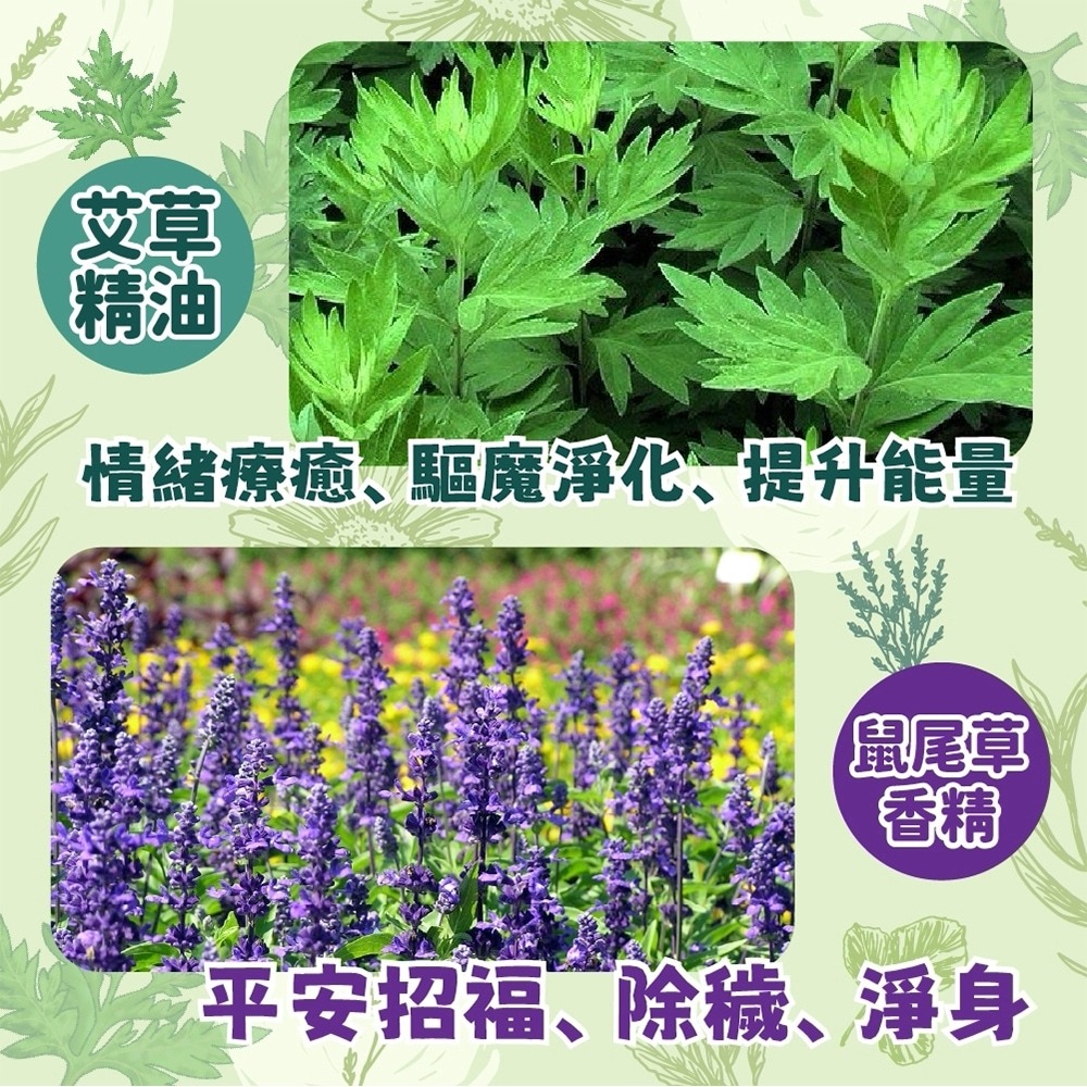 雨之情 防曬輕收貓耳自動傘*1 (黃色/黑色 任選)【贈】HSAE 艾淨除穢濃縮洗衣球 34顆*2-細節圖9