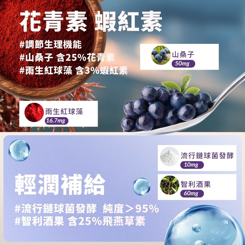 森一 強化型金盞花葉黃素植物膠囊 0.5gx30顆*1【贈】久保雅司 德國專利魚油王軟膠囊500mgx10粒*2-細節圖5