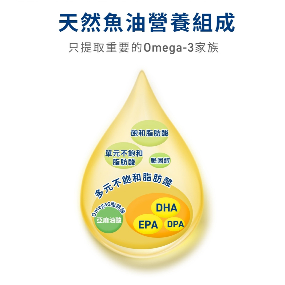 森一 強化型金盞花葉黃素植物膠囊 0.5gx30顆*1【贈】久保雅司 德國專利魚油王軟膠囊500mgx10粒*2-細節圖10