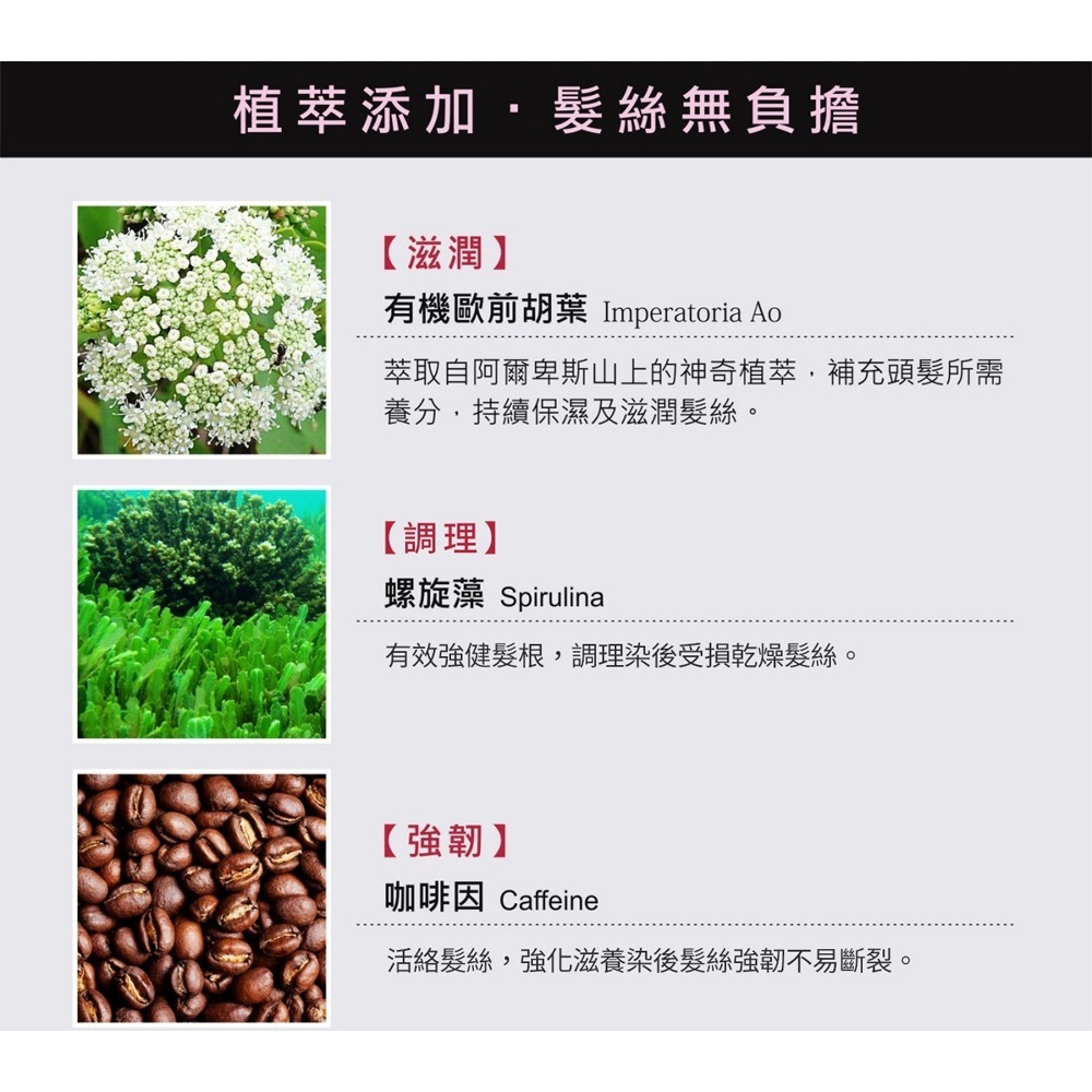 SOFEI舒妃型色家嚴損修護植萃護髮膜 450ml*1 效期2027.2.27【贈】babaria 洋蔥抗氧化洗髮露*1-細節圖4