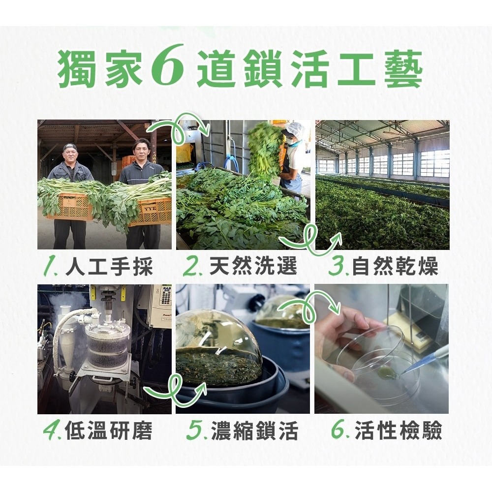 久保雅司 長命草黑加強膠囊 300mgx30粒*1【贈】babaria 無鋁鹽48H長效體香滾珠50ml*1-細節圖3