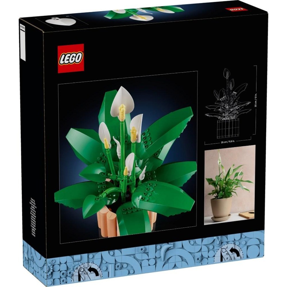 【金磚屋】 LEGO 樂高 11504 白鶴芋-細節圖2