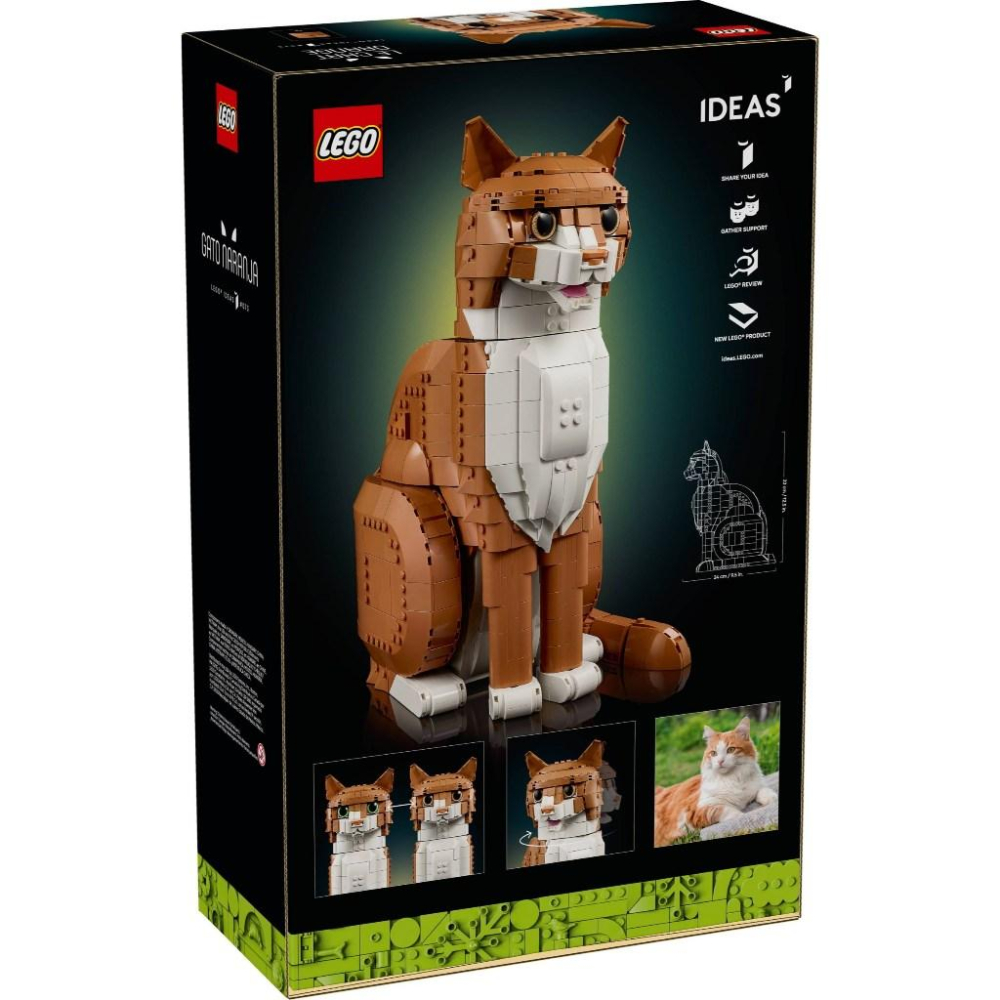 【金磚屋】 LEGO 樂高 21376 Orange Cat-細節圖2
