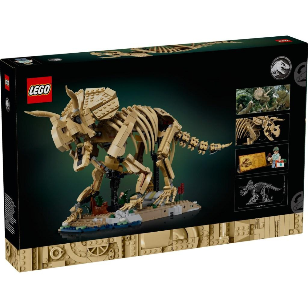 【金磚屋】 LEGO 樂高 77985 Dinosaur Fossils: Triceratops-細節圖2
