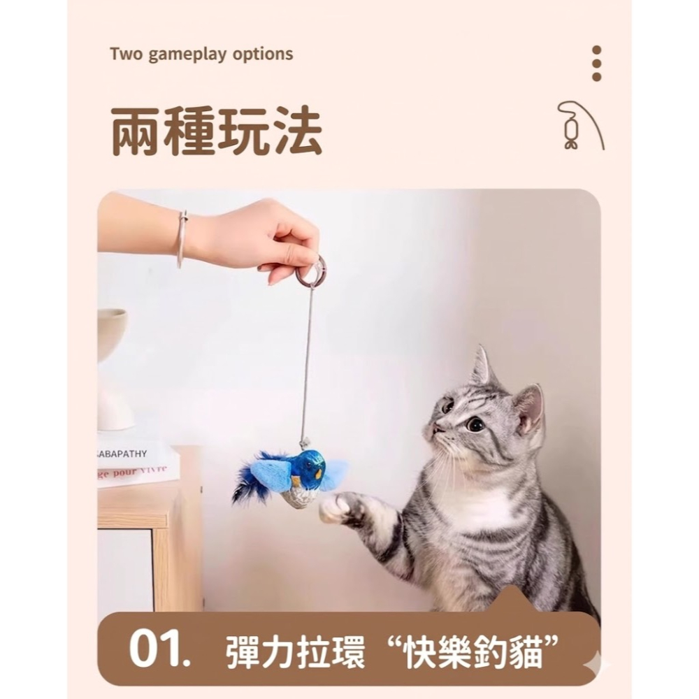 台灣現貨 不倒翁多巴胺毛絨球玩具 發聲小鳥 附繩索 附貓草 貓咪 玩具 逗貓棒-細節圖7