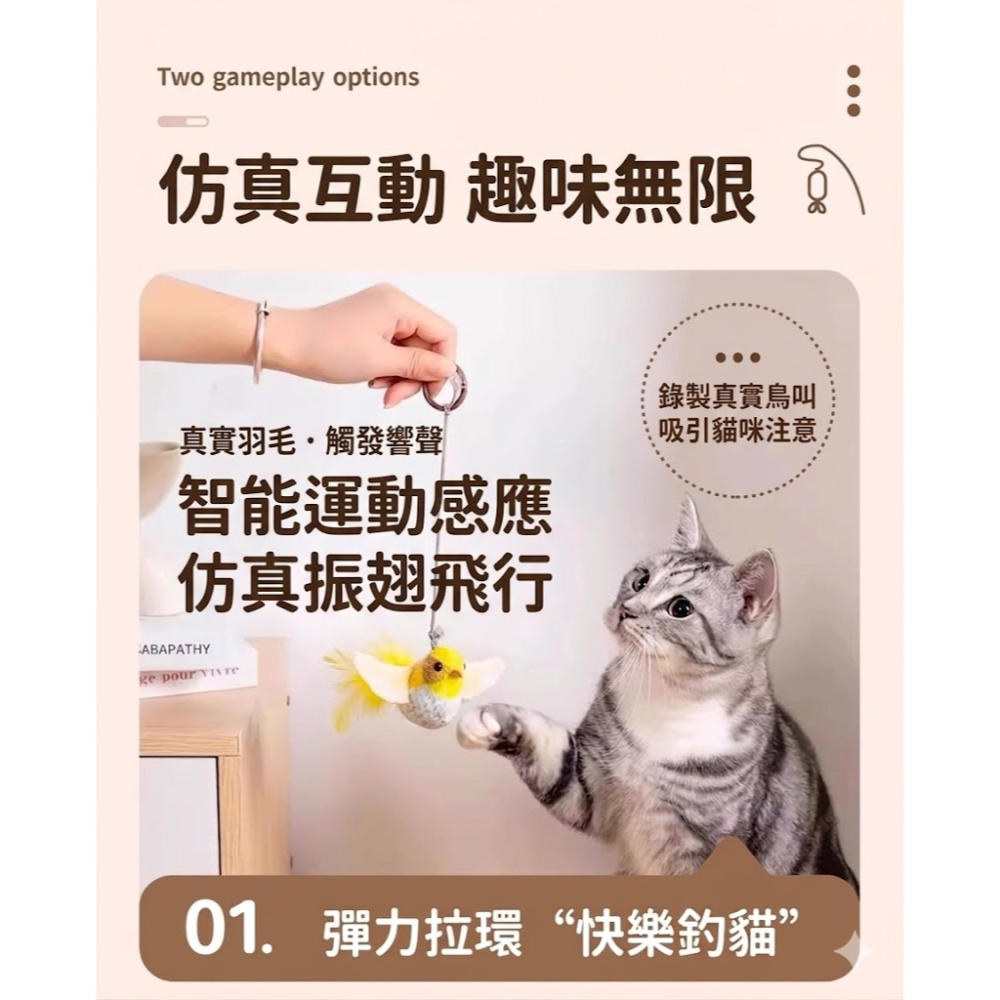 台灣現貨 不倒翁多巴胺毛絨球玩具 發聲小鳥 附繩索 附貓草 貓咪 玩具 逗貓棒-細節圖8