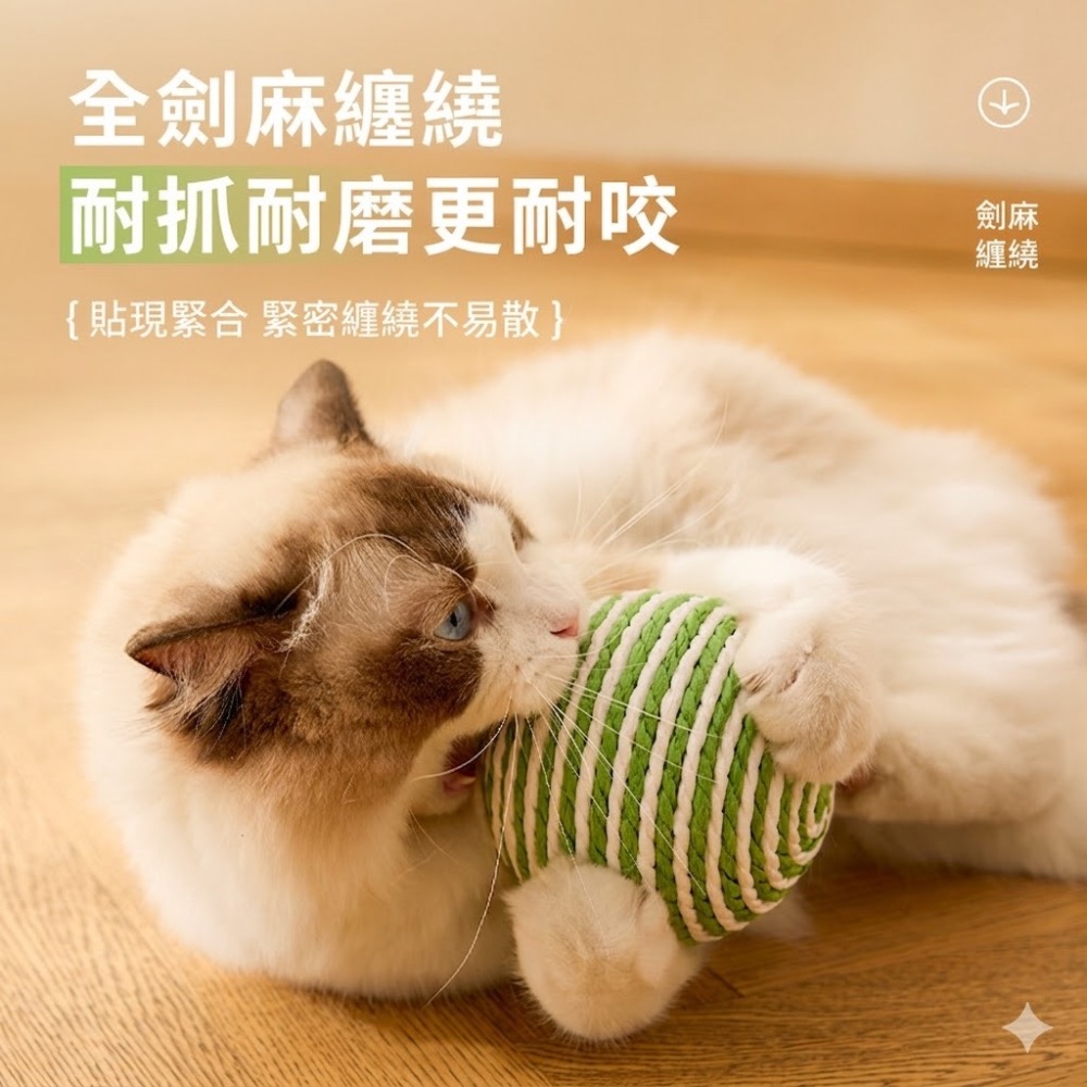 台灣現貨 劍麻球 8cm 搖晃有響聲 綠白條紋劍麻球 羽毛彈力球 貓咪玩具 狗狗玩具-細節圖2