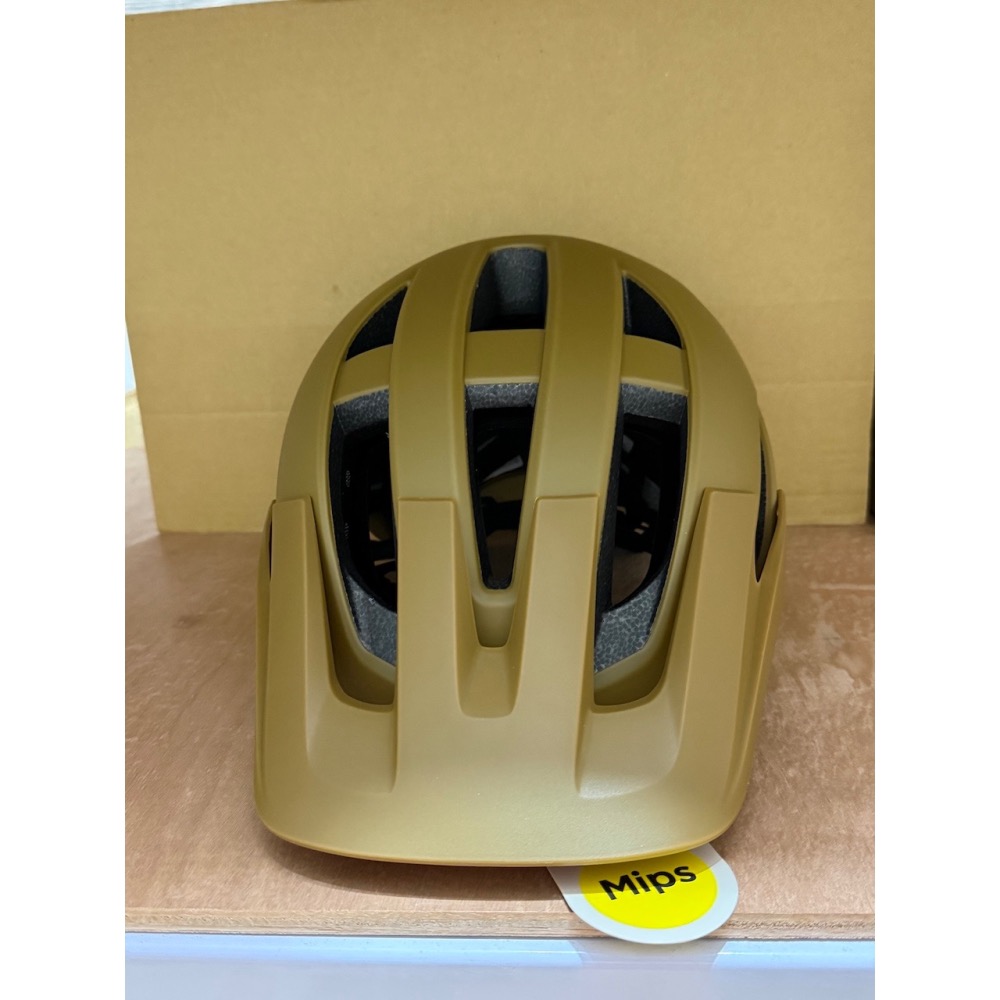 GIANT 捷安特 ROOST MIPS 青少安全帽 專有防汗眉墊 無盒裝全新品 特價出清-細節圖7