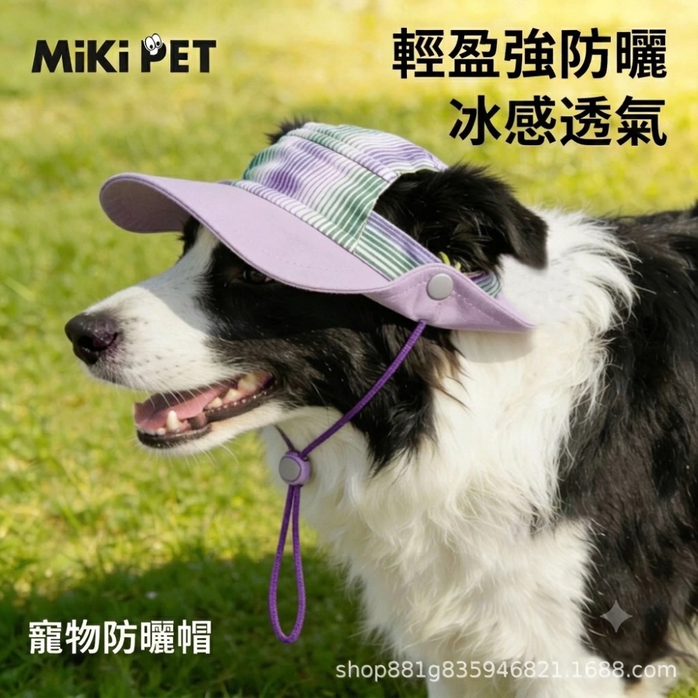 台灣現貨 狗狗防曬帽 散步 戶外 中大型犬用 兩色 防曬帽 鴨舌帽-規格圖2