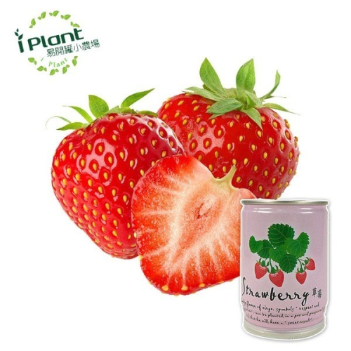 iPlant 懶人盆栽 草莓 易開罐頭 花卉 盆栽 種子 盆栽 台灣製 外銷日本