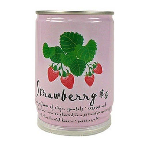 iPlant 懶人盆栽  草莓 易開罐頭 花卉 盆栽 種子 盆栽 台灣製 外銷日本-細節圖2