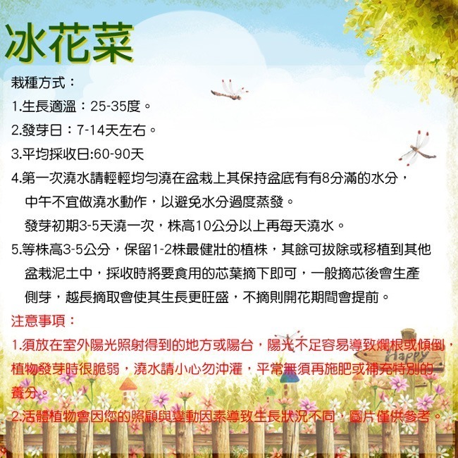 iPlant 積木開心農場-冰花菜    每盆加送種子1包 懶人盆栽 種子 培養土 花盆 肥料 一盆俱全-細節圖3