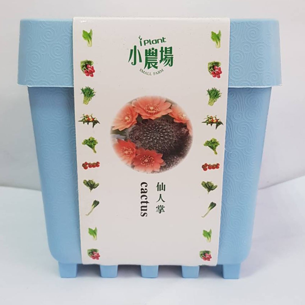 iPlant 積木開心農場-仙人掌    每盆加送種子1包 懶人盆栽 種子 培養土 花盆 肥料 一盆俱全-細節圖2