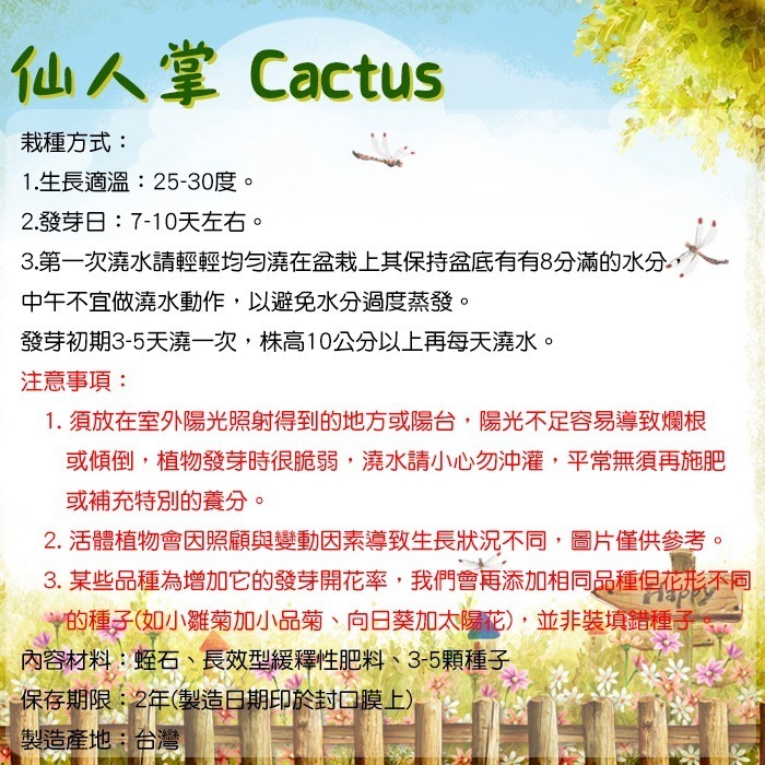 iPlant 積木開心農場-仙人掌    每盆加送種子1包 懶人盆栽 種子 培養土 花盆 肥料 一盆俱全-細節圖3