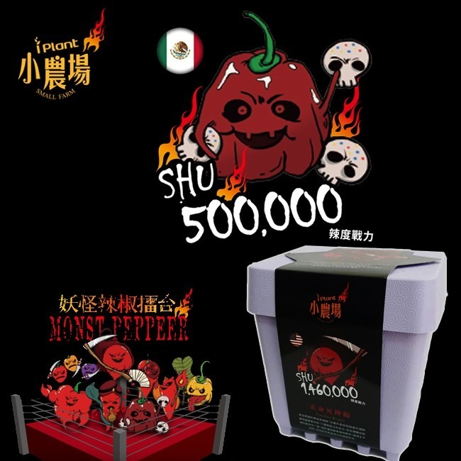 iPlant 積木開心農場-亡靈巧克力椒  妖怪辣椒  每盆加送種子1包 懶人盆栽 種子 培養土 花盆 肥料 一盆俱全-細節圖3