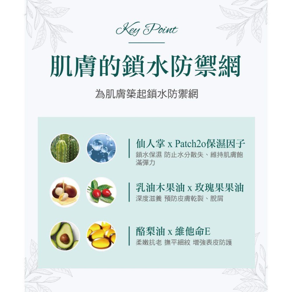 【舒妃】ADD+/馬油/龜裂/護手霜系列｜復活草修護｜仙人掌保濕｜馬油｜龜裂-細節圖7