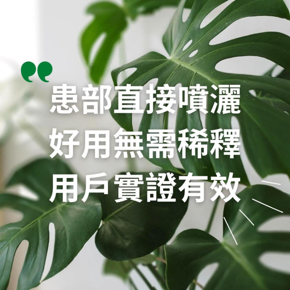 【美國Danolyte達諾萊植物除菌噴霧】對抗白粉病 炭疽病 晚疫病 防黴 除霉 USDA及OMRI認證適用於有機農業-細節圖4