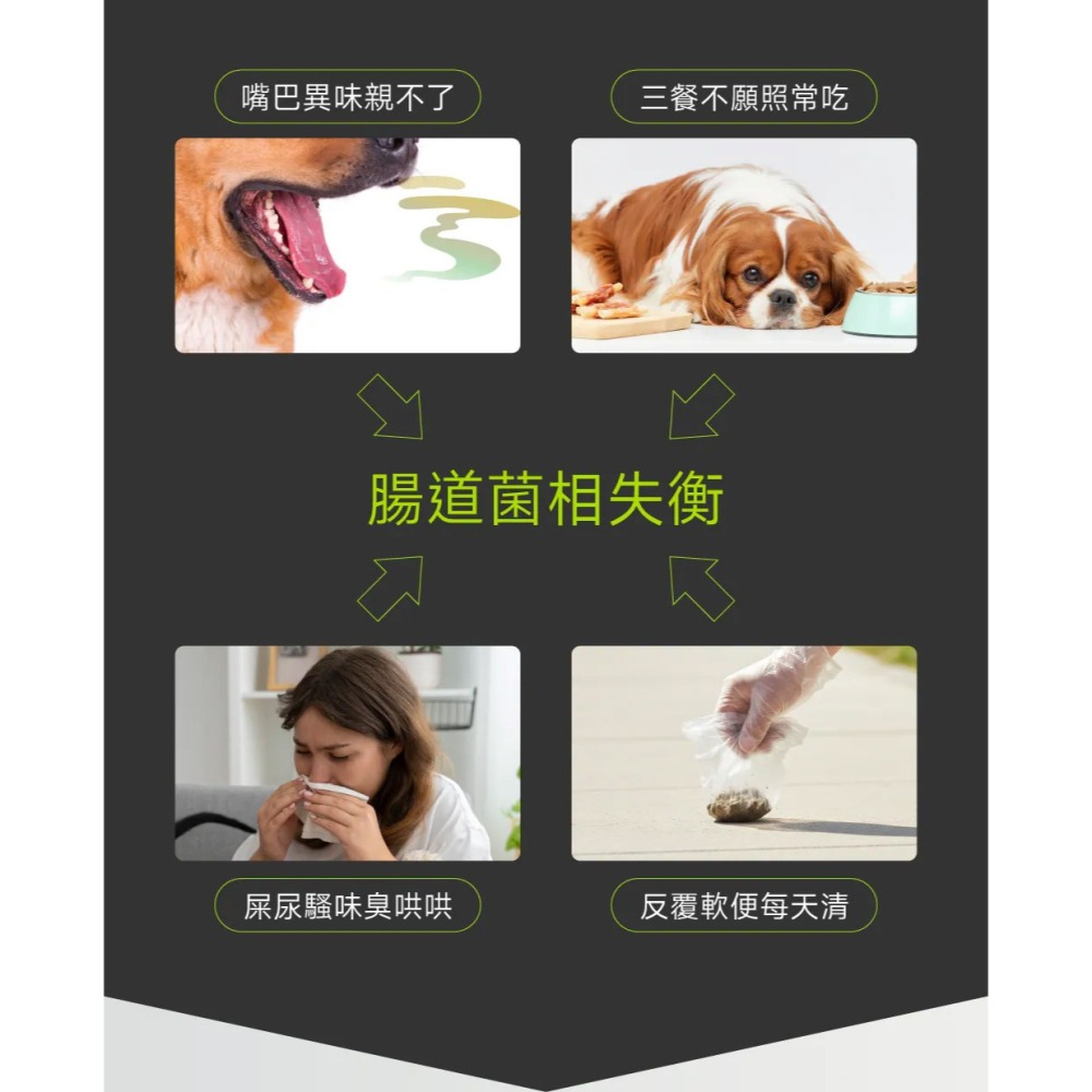 PetWell 沛威｜專效保健-好胃口益生菌 狗狗專用 (30包/盒) 維持腸道健康平衡-細節圖2