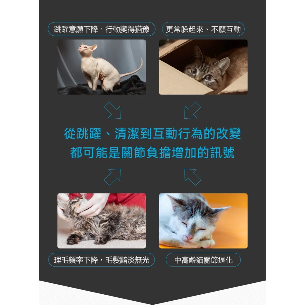 PetWell 沛威｜專效保健-顧關節PRO 貓咪專用 (30包/盒) 維持關節健康-細節圖3