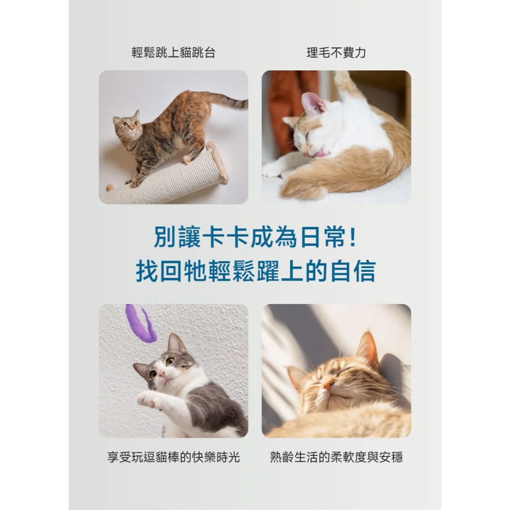PetWell 沛威｜專效保健-顧關節PRO 貓咪專用 (30包/盒) 維持關節健康-細節圖5