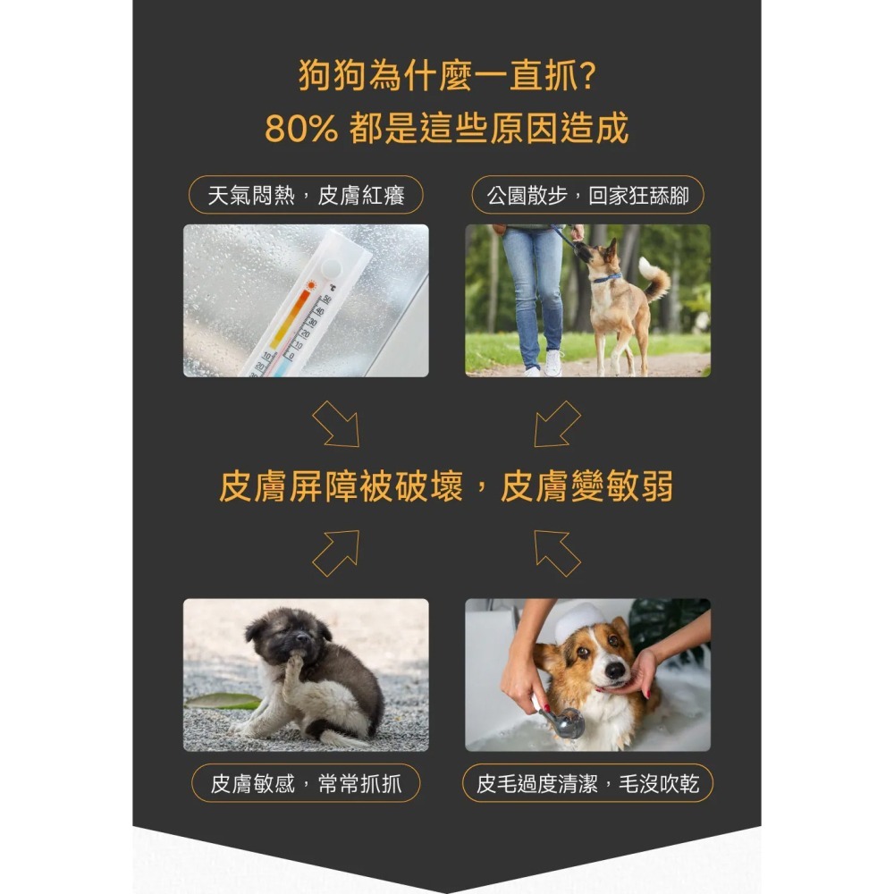 PetWell 沛威｜專效保健-膚健康PRO 狗狗專用 (30包/盒) 維持狗狗皮膚健康-細節圖2