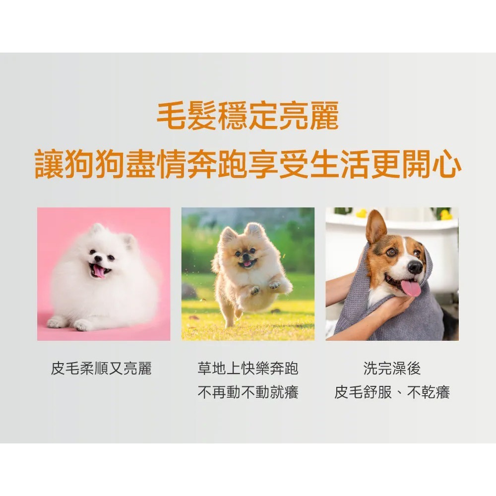 PetWell 沛威｜專效保健-膚健康PRO 狗狗專用 (30包/盒) 維持狗狗皮膚健康-細節圖4