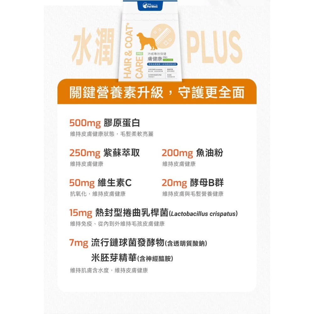 PetWell 沛威｜專效保健-膚健康PRO 狗狗專用 (30包/盒) 維持狗狗皮膚健康-細節圖6