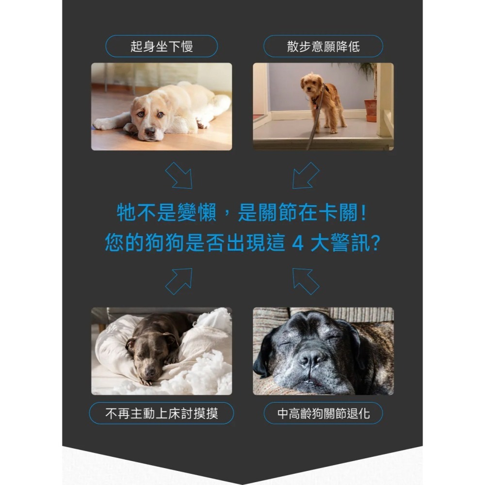 PetWell 沛威｜專效保健-顧關節PRO 狗狗專用 (30包/盒) 維持關節健康-細節圖3