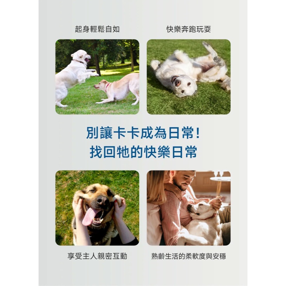 PetWell 沛威｜專效保健-顧關節PRO 狗狗專用 (30包/盒) 維持關節健康-細節圖5