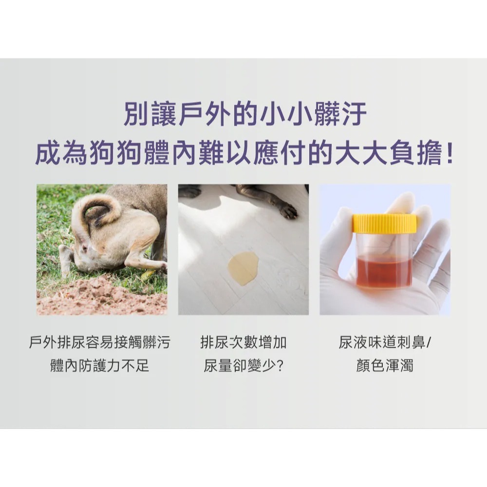 PetWell 沛威｜專效保健-護泌尿PRO 狗狗專用 (30包/盒) 守護泌尿道健康-細節圖3