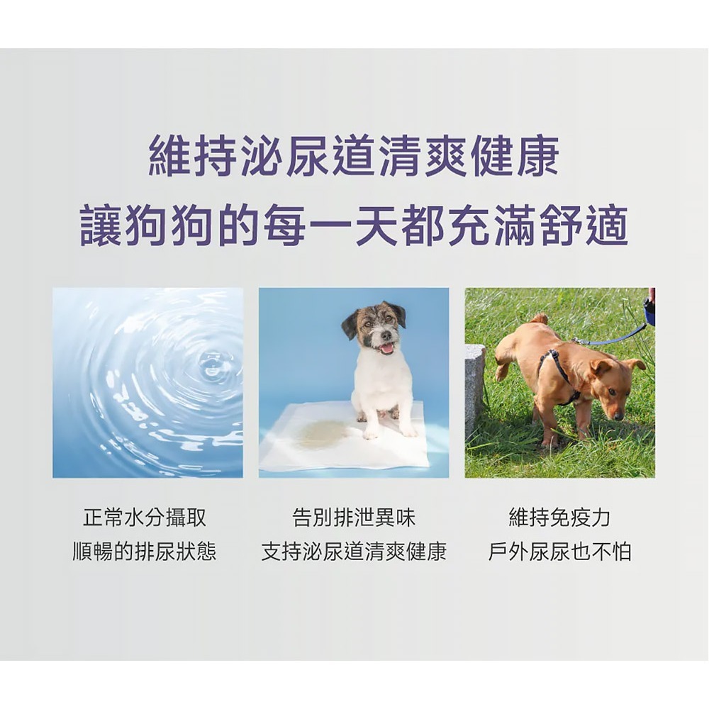 PetWell 沛威｜專效保健-護泌尿PRO 狗狗專用 (30包/盒) 守護泌尿道健康-細節圖5