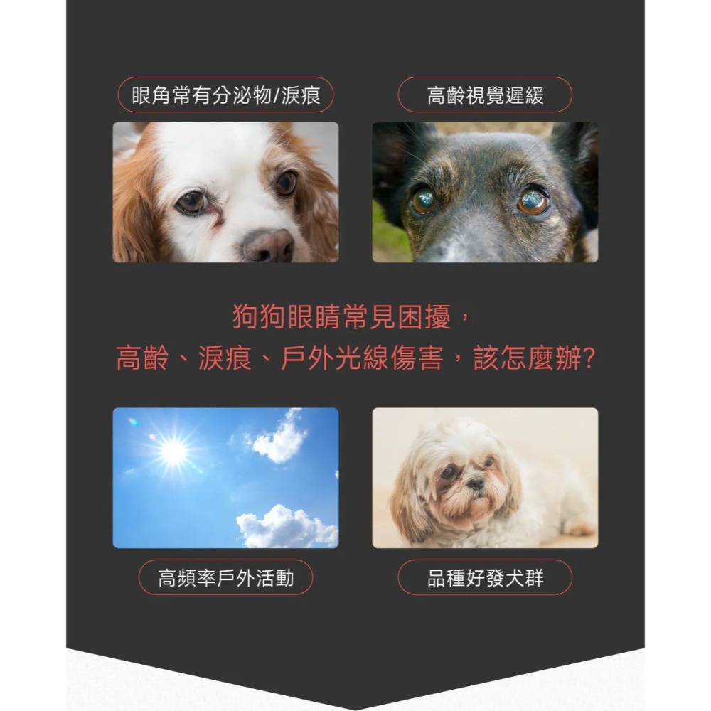 PetWell 沛威｜專效保健-護眼亮晶晶PRO 狗狗專用 (30包/盒) 維持眼部健康-細節圖2