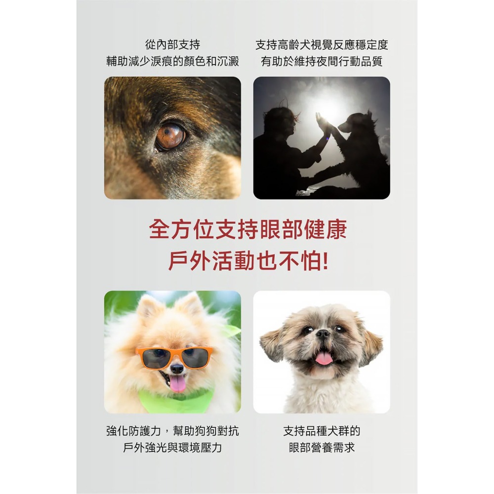 PetWell 沛威｜專效保健-護眼亮晶晶PRO 狗狗專用 (30包/盒) 維持眼部健康-細節圖4