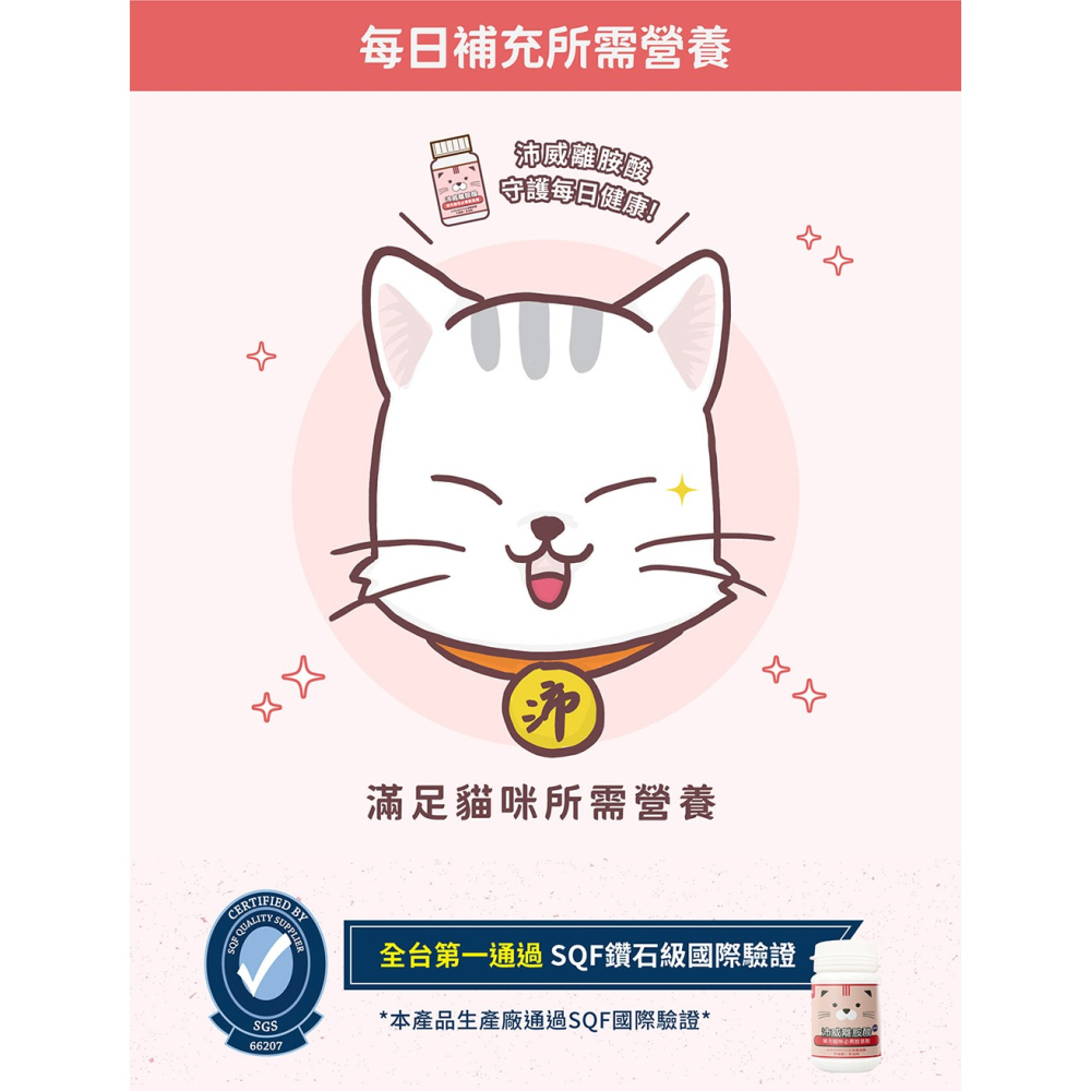 PetWell 沛威｜離胺酸 (60g/罐)-細節圖2