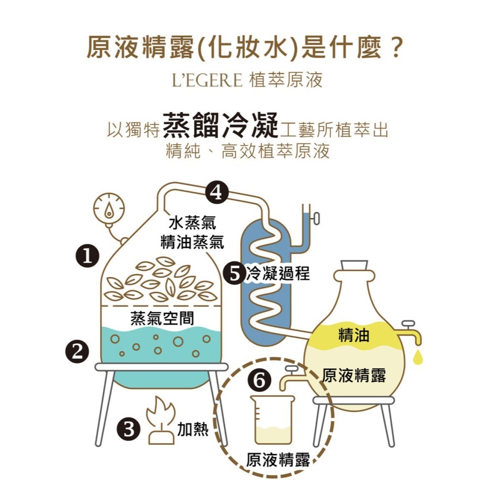 L＇EGERE 蘭吉兒｜金縷梅控油原液精露化妝水220ml 精純高效 植萃原液-細節圖3